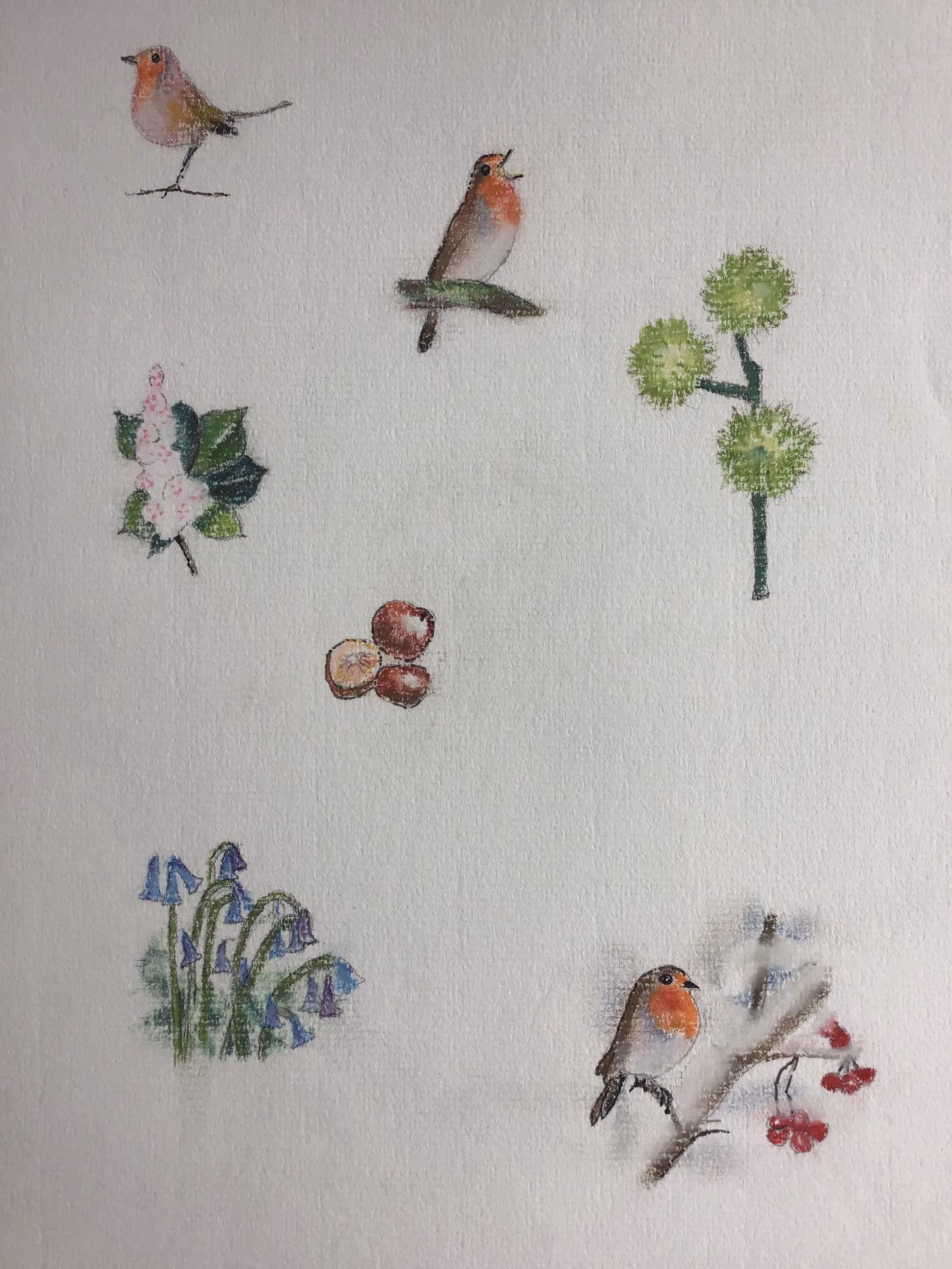 Robins, flowers amd seeds