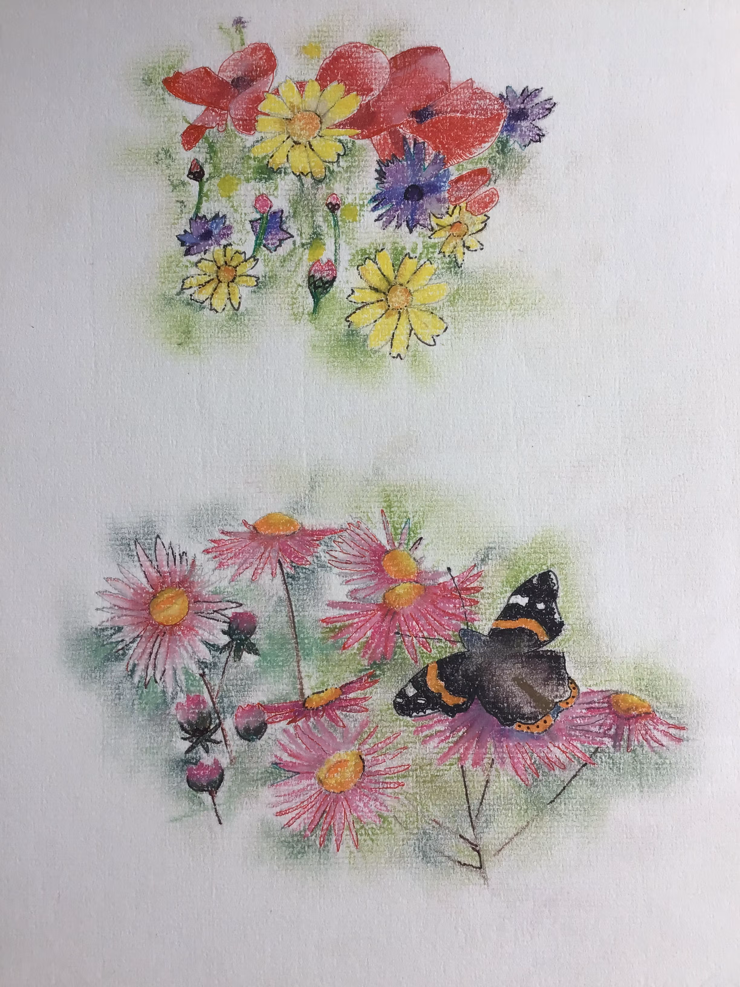 Flowers with butterfly