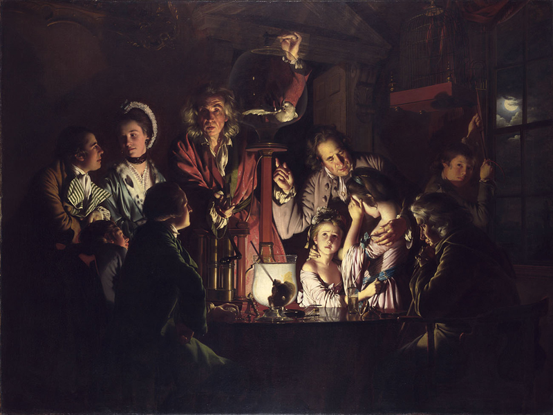 An Experiment on a Bird in the Air Pump