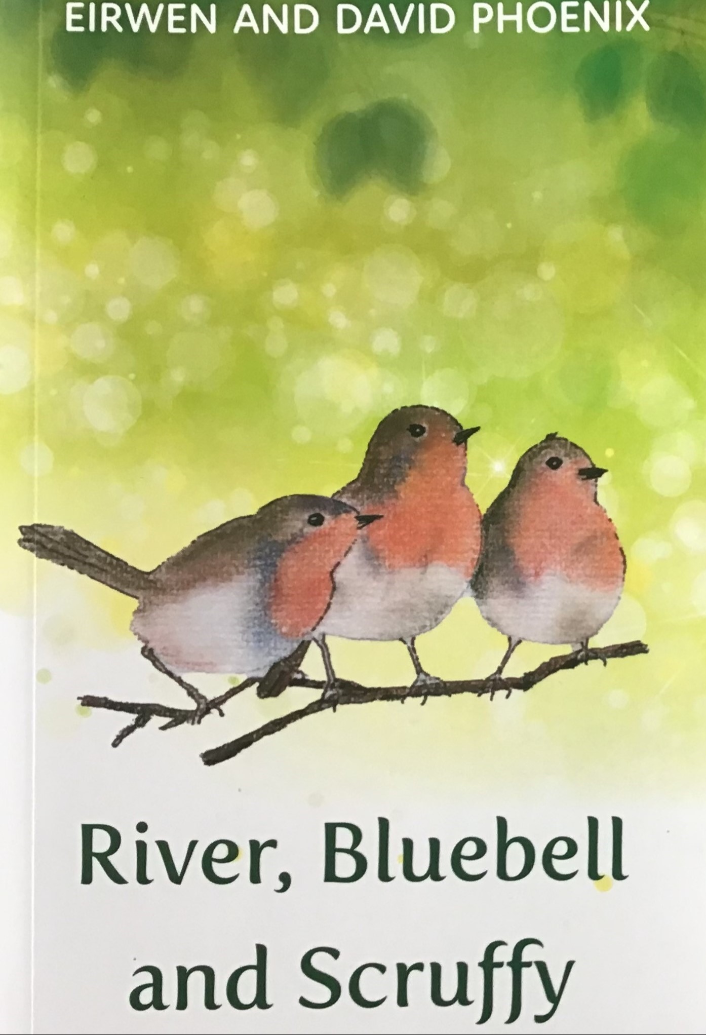 River, Bluebell & Scruffy Book Cover